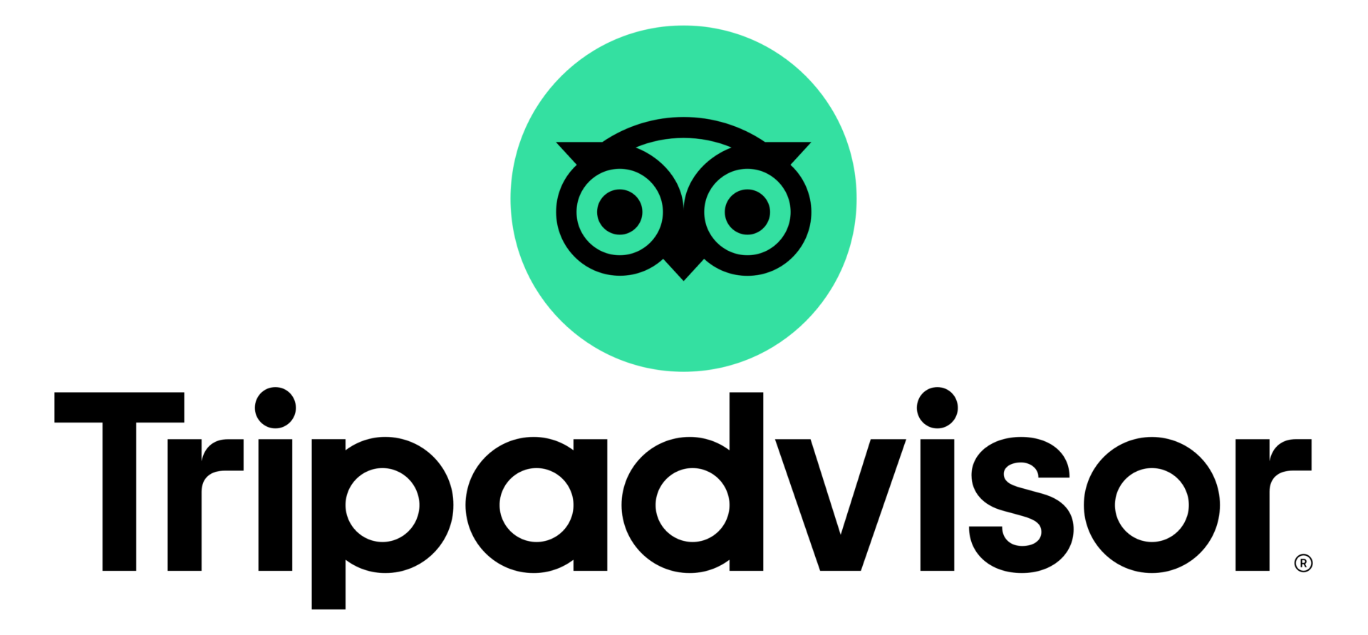 TripAdvisor green and black logo